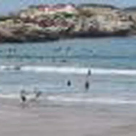 Brandneue Strandwohnung 1 By Interhome * فيريل