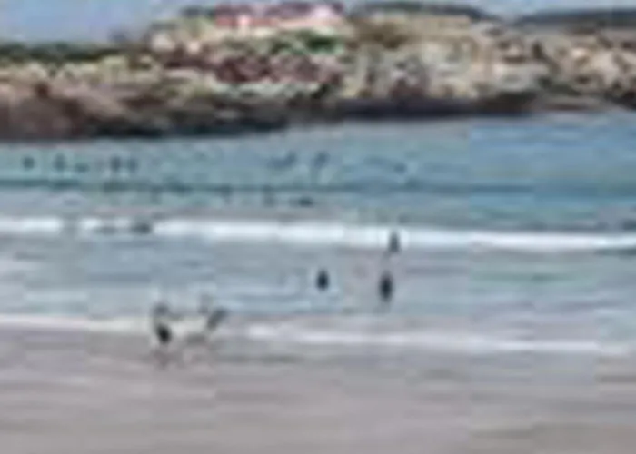 Brandneue Strandwohnung 1 By Interhome * Феррел